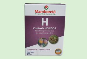 Mamboreta H